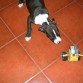jaja casi se lo cargaa!! ;D