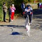 En una carrera de bikejoring. Era la primera vez que lo hacía y para probarlo no se me ocurrió cosa mejor que apuntarme a una carrera. Con los nervios me fui con la rueda delantera del revés, pero por suerte no me la pegué :-)