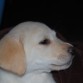 mirad que carita nala con 2 meses n__n