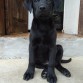 precioso!