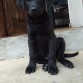 es un guapo!! con le gustan las camaras