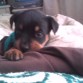 KECHITA A LOS 2 MESES 21 DIAS