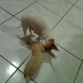 BANDY CON SU HIJITO TARO DE DOS MESES, LO QUIERE MUCHO