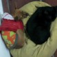 Sol y mi gato Negro! ♥