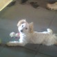 jugando con su pelotita