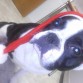 con el gorrito de papa noel