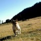 Sel de pekeña en las faldas del nevado de Toluka !!