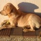 Descansando....