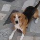 Aqui tengo 19 meses !!!
