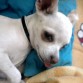 RESIEN DESPERTANDO, TODAVÍA CON SUEÑO
