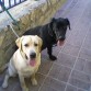 con una de sus amigass¡¡