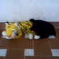 de siesta con tres meses.salut
