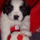 MÍA Y SU PELOTA