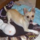 mi camita.................