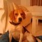 Pose en el salon