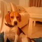 Pose en el salon 1