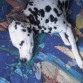 Asia durmiendo