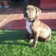 con 3 mesecillos