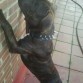 con 7 meses
