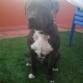 6 meses