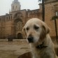 De vacaciones por la provincia de Toledo