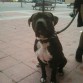 con 9 meses