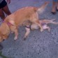 HEEEYYYYY!! eso es Bullying!!