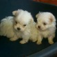 Con sus hermanitos :)!!! 