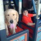 En la Chiva!! (bus)