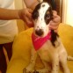 me van poniendo wapa.
