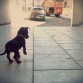 me voy de paseo