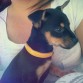 con mi ama