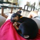 una siesta