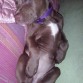 Durmiendo a lo pitbull jeje