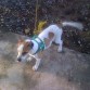 Biky 3 meses y medio