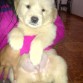 El Gordo en mis brazos