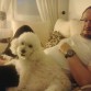 Con papá