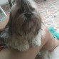 estamos peinan-dolo, le encanta que lo peinen.  hay tiene 8 meses