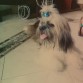 ya tengo 9 meses
