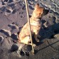 En la playita