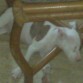 dormido de nuevo ¬¬