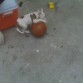 es basketbolero ^^