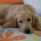 en cama