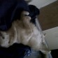durmiendo