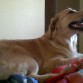 viendo tv
