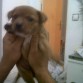 mimao