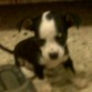 Mi tierno bb =)