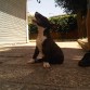 Raton con 3 meses