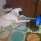 SUBIENDO EL VIDEO DE TEO EN YOUTUBE...
http://www.youtube.com/watch?v=JN9gP-X_3Z4 
