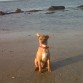 en la playa